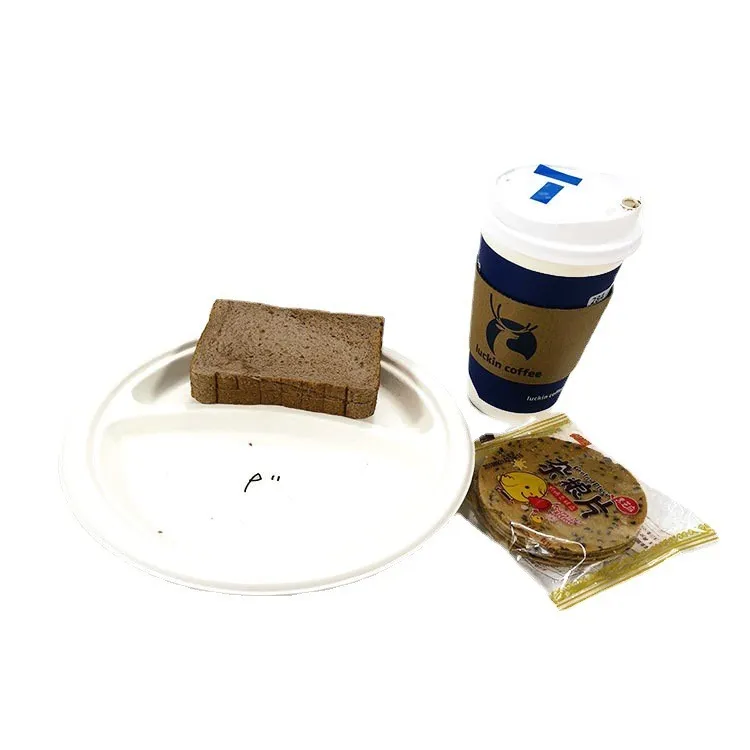 Factory Direct Sale Eco-Friendly Bagasse Tray Food Tray Biodegradable Food Tray