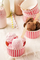 Factory Wholesale Cheap Customized Disposable Ice Cream Cold Cup with Lid Spoon