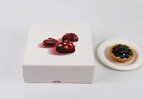Creative Prevent Deformation Customized Luxury Paper Cake Box for Park Picnic