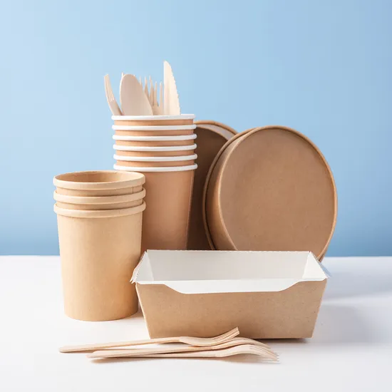 Healthy Plastic Free Disposable Lunch Box Takeaway Food Container