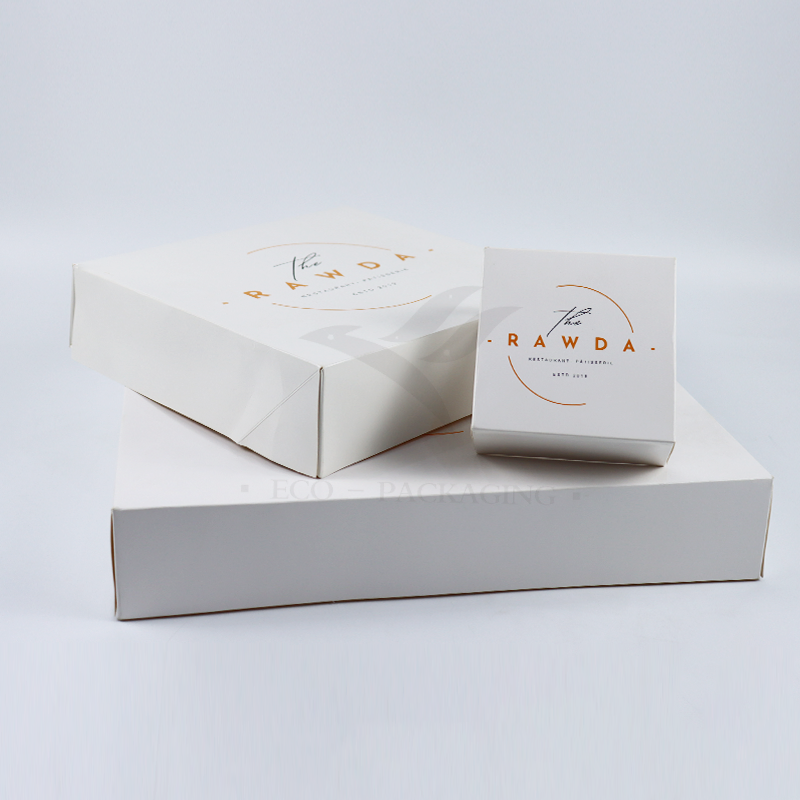 Wholesale Luxury Eco-Friendly Aircraft Packaging Customized Color Vegetable Fruit Paper Corrugated Printed Logo Shoe Cloth Shipping Gift Packaging Cardboard Box