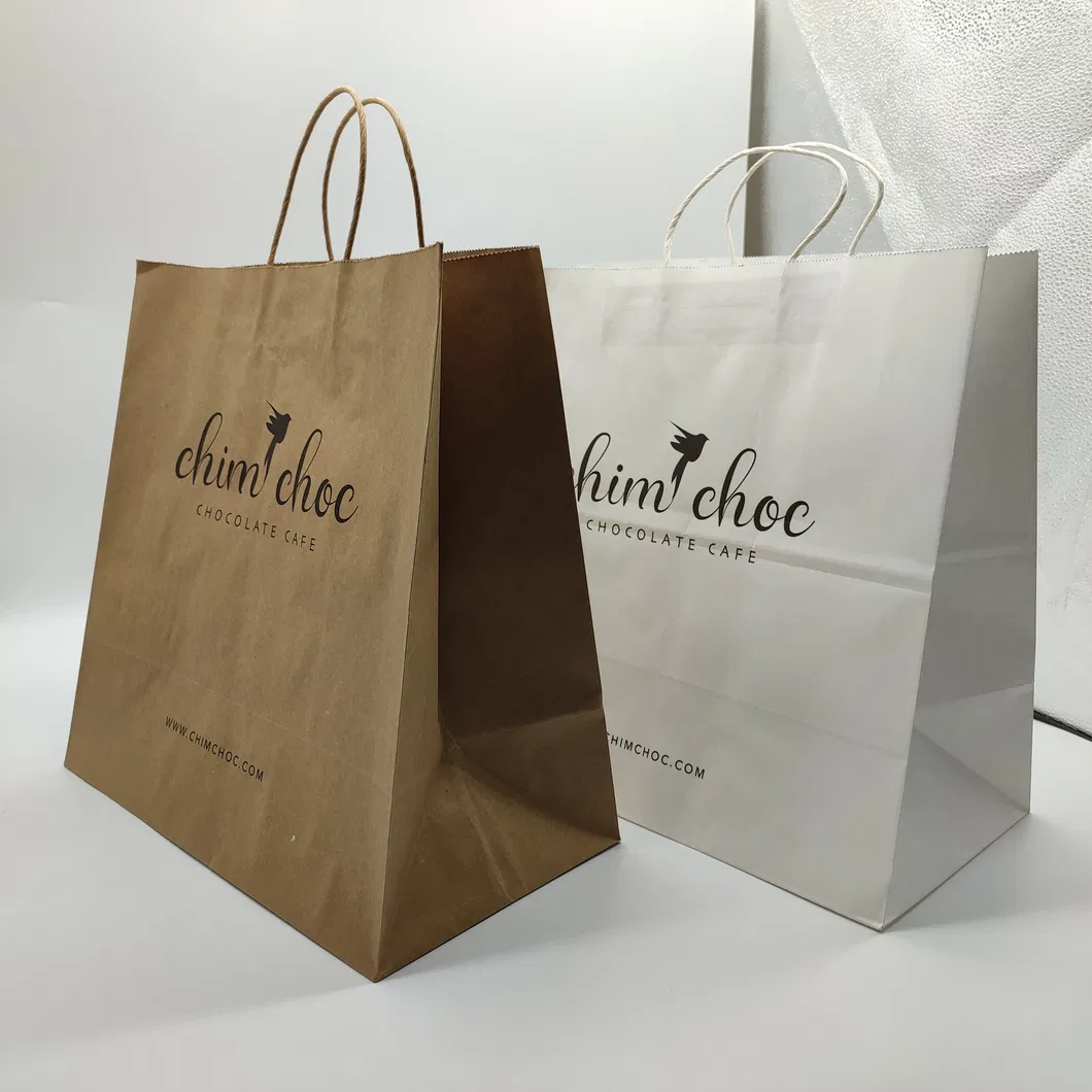 Luxury Boutique Shopping Packaging Tote Paper Gift Bags with Logo