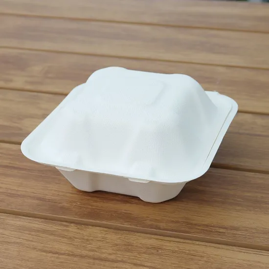 White Disposable Biodegradable Bagasse Paper Hamburger Box Food Packaging