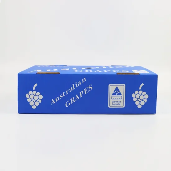 Customized Paper Be Flute Corrugated Archive Storage Shipping Carton with Custom Printing