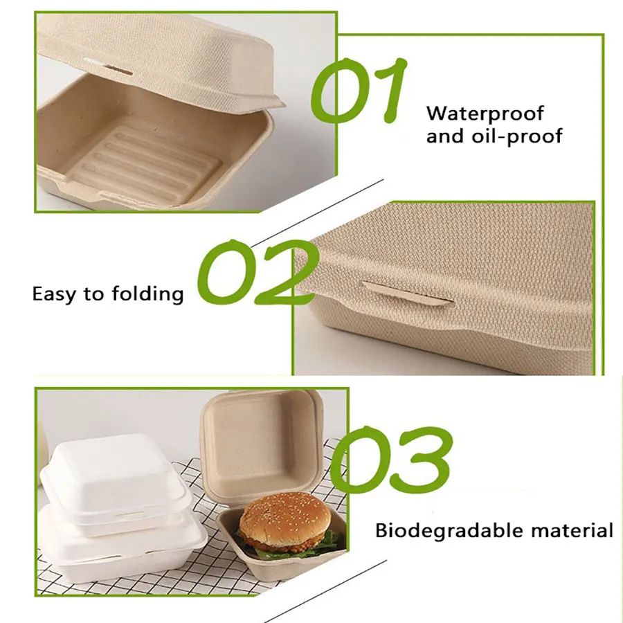 Custom Biodegradable Sugarcane Bagasse Microwaveable Clamshell 6X6 8X8 9X9 9X6 Inch Mealfood Packaqing Container Lunch Box