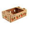 Custom Printed High Quality Fruit Packaging Box Biodegradable Shipping Carton for Apple Pear