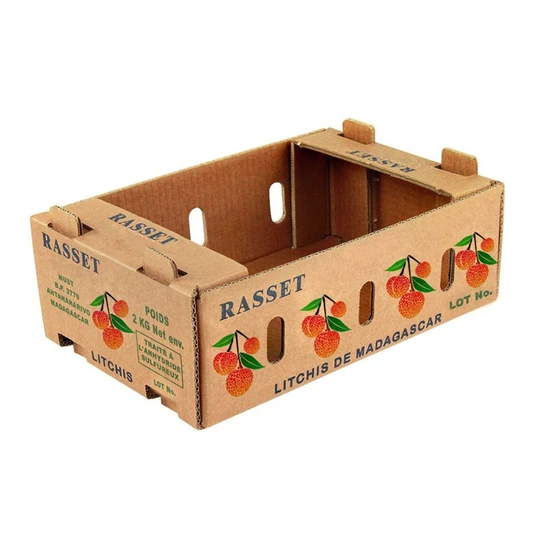 Custom Printed High Quality Fruit Packaging Box Biodegradable Shipping Carton for Apple Pear