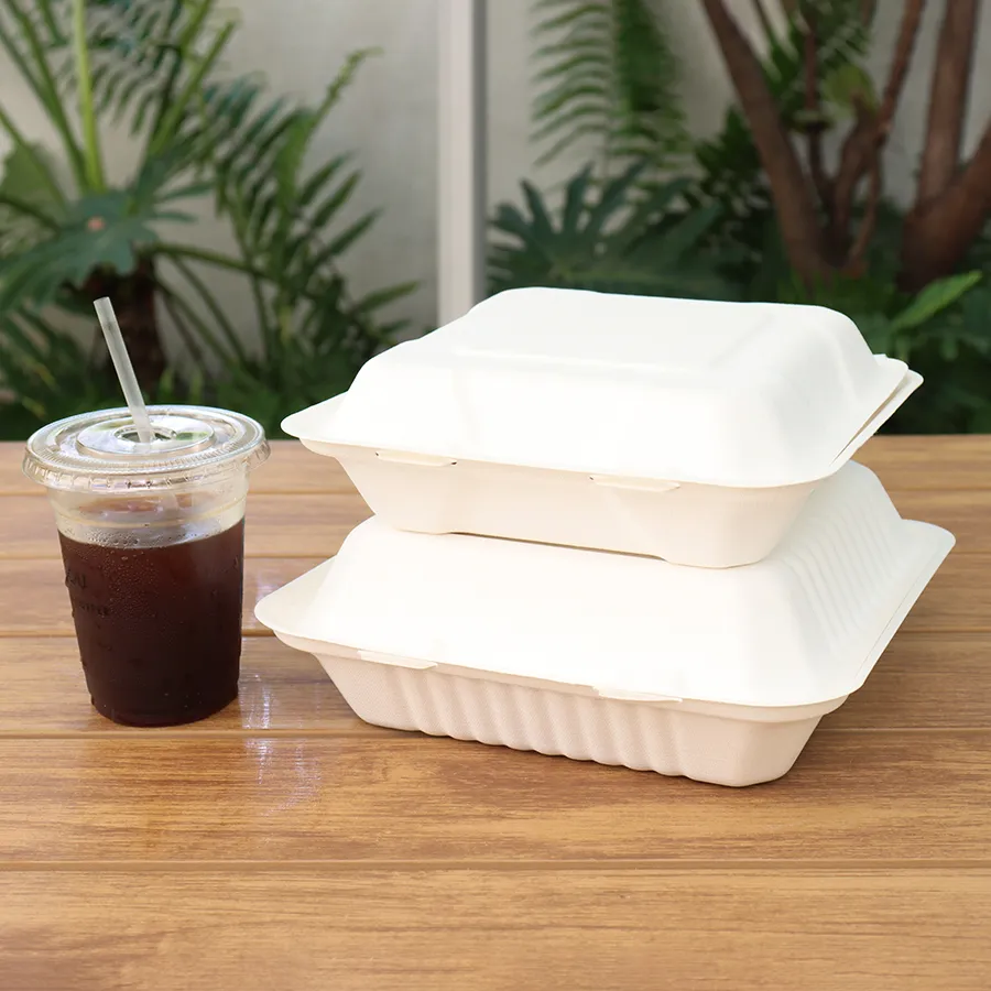 Factory Wholesale Bio-Degradable Bagasse Bento Box Sugar Cane Box for Burger Takeaway Packaging