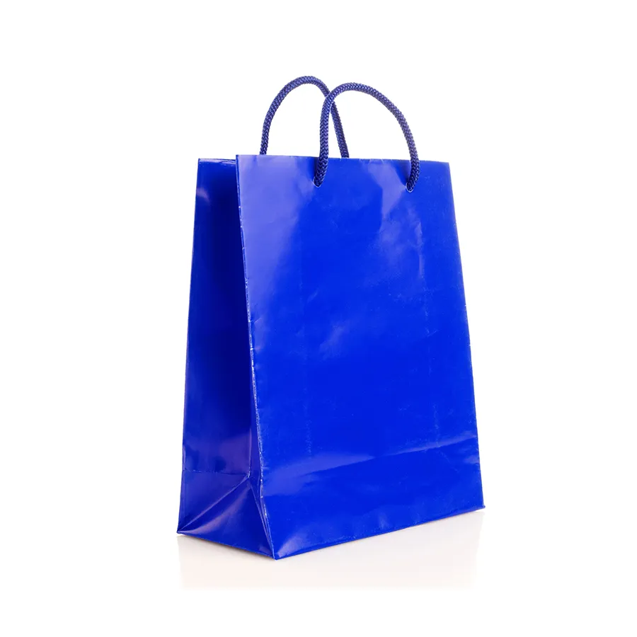 Clothing Shopping Bag with Handles Paper Bag with Logo Print Custom Personalized Custom Paper Bag