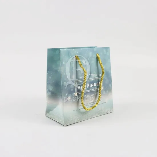 Tear-Resistant Natural Raw Materials Customized Paper Shopping Bag for Gift Packaging