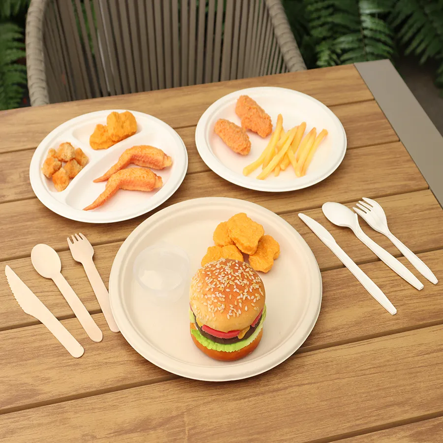 Biodegradable Eco-Pack 3 Compartment Bagasse Plate Sugarcane Round Paper Plates Food Trays