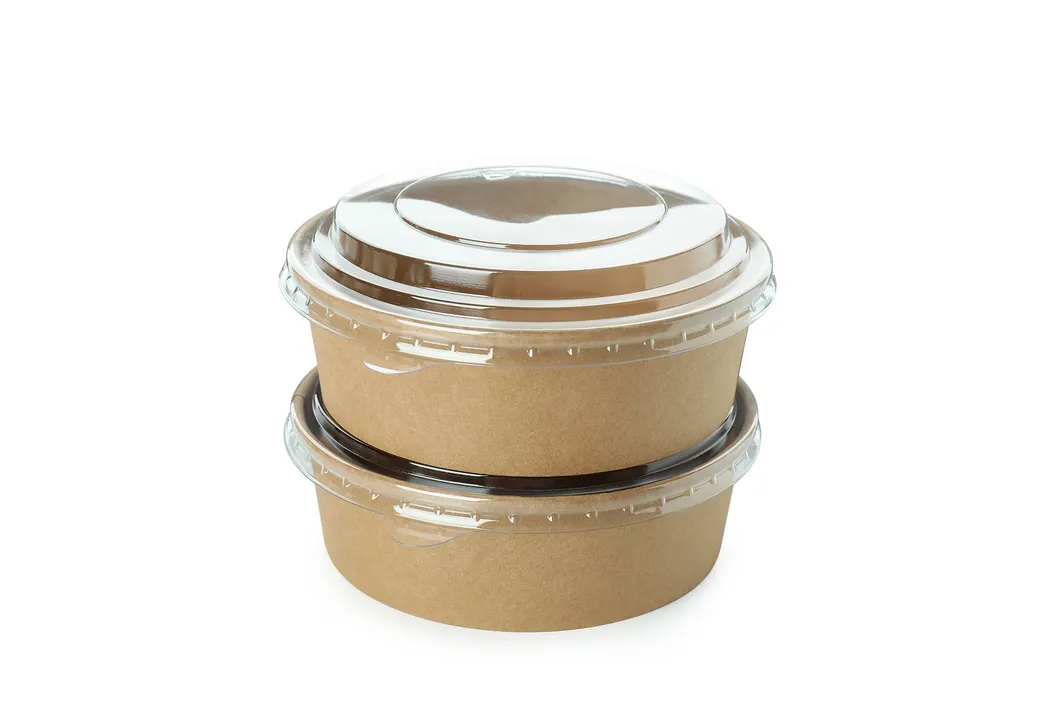 Wholesale Custom Printing Disposable Food Container Salad Kraft Paper Bowl with Lid