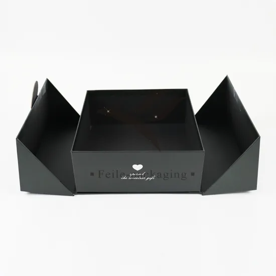 Wholesale Luxury Eco-Friendly Aircraft Packaging Customized Color Vegetable Fruit Paper Corrugated Printed Logo Shipping Gift Cardboard Box
