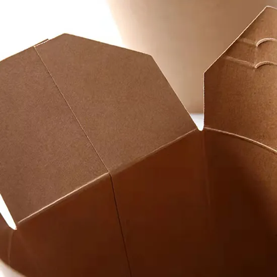 Factory Wholesale Customized Food Grade Takeaway Sushi Fried Chicken Chips Burger Container Disposable Cardboard Paper Food Storage Box with Lid