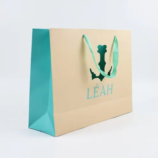 8inch Luxury Gift Bags Custom Paper Packaging Shopping Bags