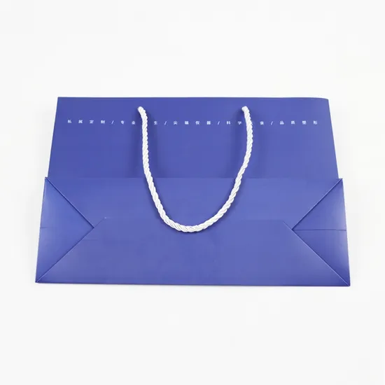 Custom Luxury Clothing Packaging Shopping Gift Paper Bag with Your Own Logo Paper Bag