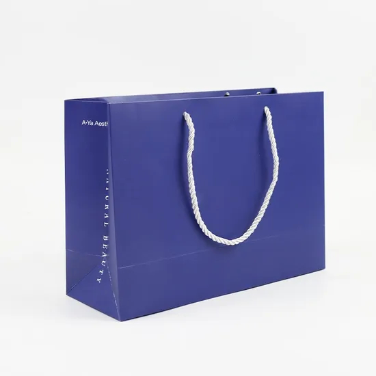 Luxury Boutique Shopping Packaging Tote Paper Gift Bags with Logo