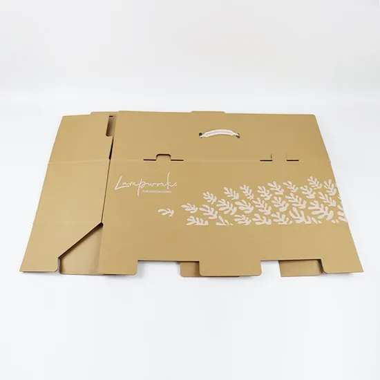 Custom Cardboard Moving Packaging Delivery Corrugated Carton Boxes