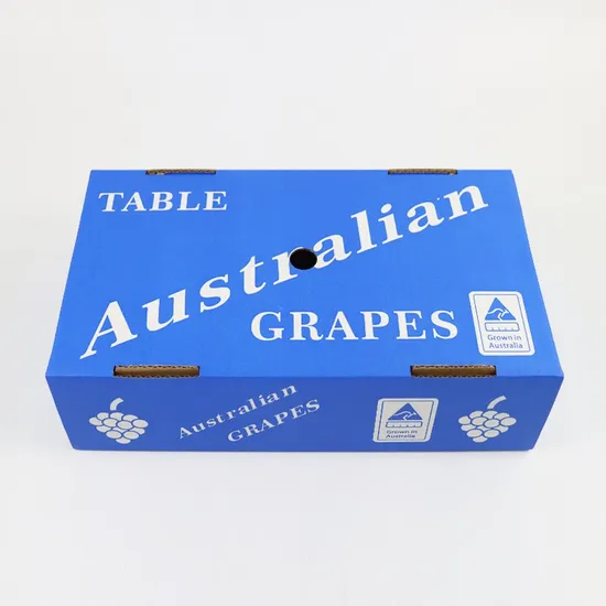 Customized Paper Be Flute Corrugated Archive Storage Shipping Carton with Custom Printing