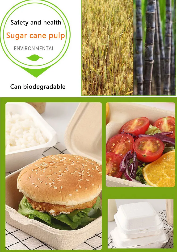 Custom Biodegradable Sugarcane Bagasse Microwaveable Clamshell 6X6 8X8 9X9 9X6 Inch Mealfood Packaqing Container Lunch Box