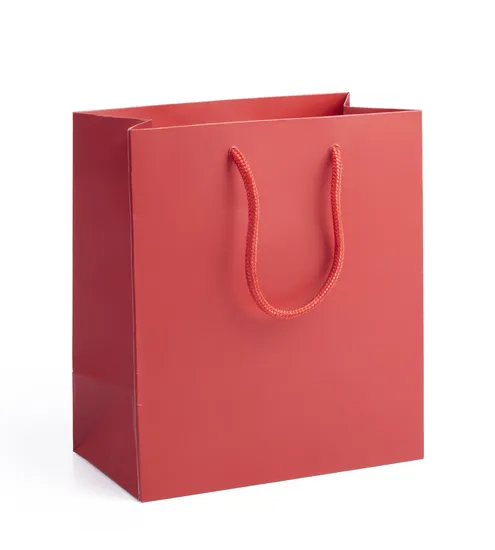 Printable Natural Kraft Paper Bags in Bulks with Twisted Handles India Kraft Paper Bag Manufacturers Shopping Bag