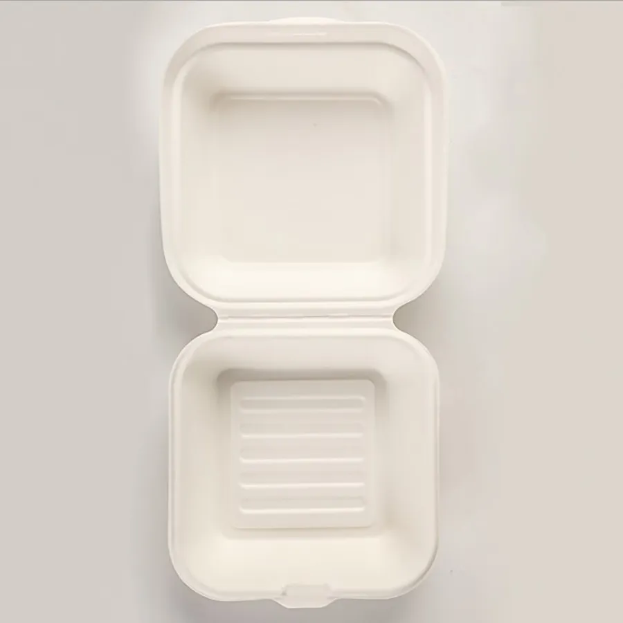 Sugarcane Bagasse Biodegradable Sushi Takeaway Box Rectangular Disposable Food Packing for Fast Food