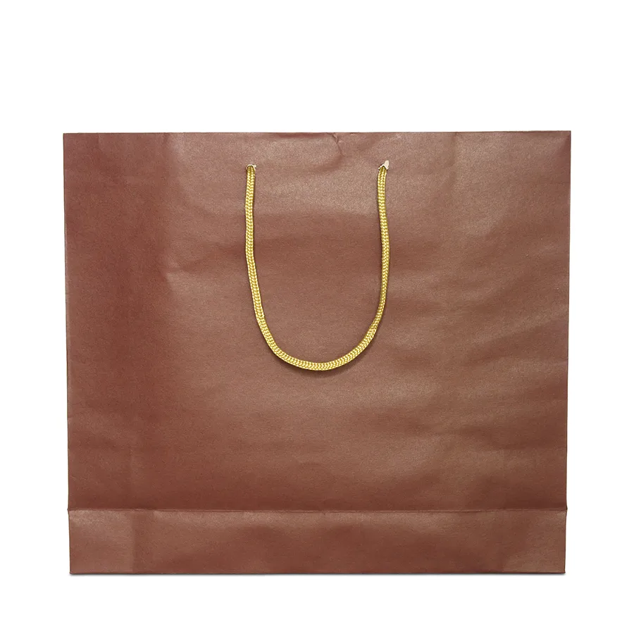 Custom Printed Your Own Logo White Brown Kraft Gift Craft Shopping Paper Bag with Handles