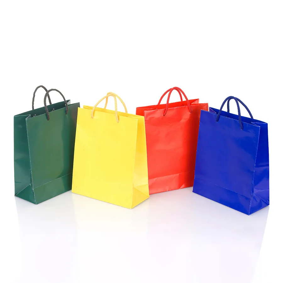 Clothing Shopping Bag with Handles Paper Bag with Logo Print Custom Personalized Custom Paper Bag