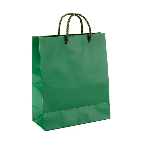 Clothing Shopping Bag with Handles Paper Bag with Logo Print Custom Personalized Custom Paper Bag