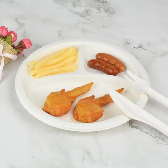 Factory Direct Sale Eco-Friendly Bagasse Tray Food Tray Biodegradable Food Tray