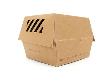 Oil-Resistant Dust-Proof Customized Paper Pulp Burger Box for Theater Viewings
