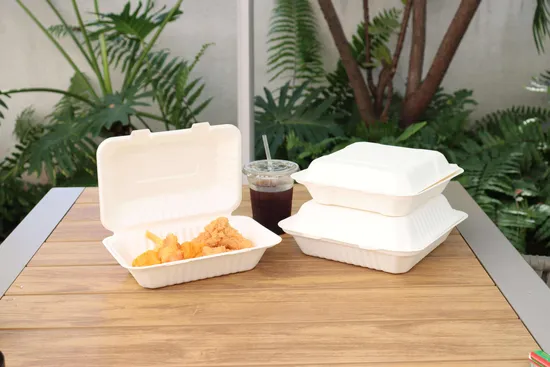 High Quality Bagasses Box Customized Disposable Food Packaging Lunch Box Takeaway Delivery