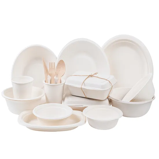 Cheap Wholesale Disposable Food Grade Eco-Friendly Customized Printing Kraft Paper Bagasse Food Salad Packaging Container Bowl Coating Soup Cup with Lid