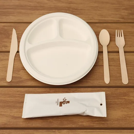 Factory Wholesale Custom Eco-Friendly Disposable Food Packaging Containers Food Cutlery Spoon Paper Tray