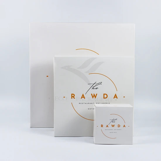 Wholesale Luxury Eco-Friendly Aircraft Packaging Customized Color Vegetable Fruit Paper Corrugated Printed Logo Shoe Cloth Shipping Gift Packaging Cardboard Box