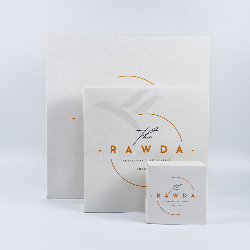 Wholesale Luxury Eco-Friendly Aircraft Packaging Customized Color Vegetable Fruit Paper Corrugated Printed Logo Shoe Cloth Shipping Gift Packaging Cardboard Box