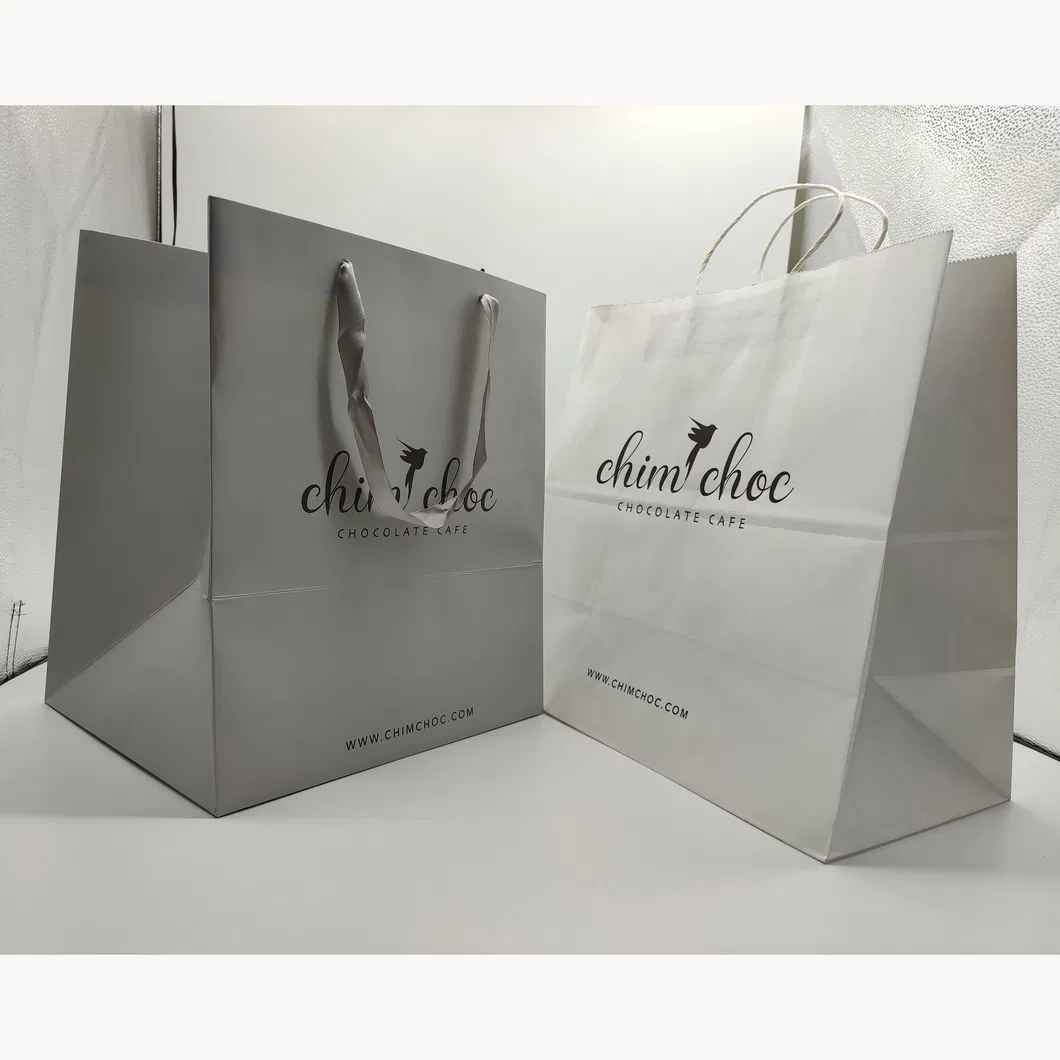 Luxury Boutique Shopping Packaging Tote Paper Gift Bags with Logo