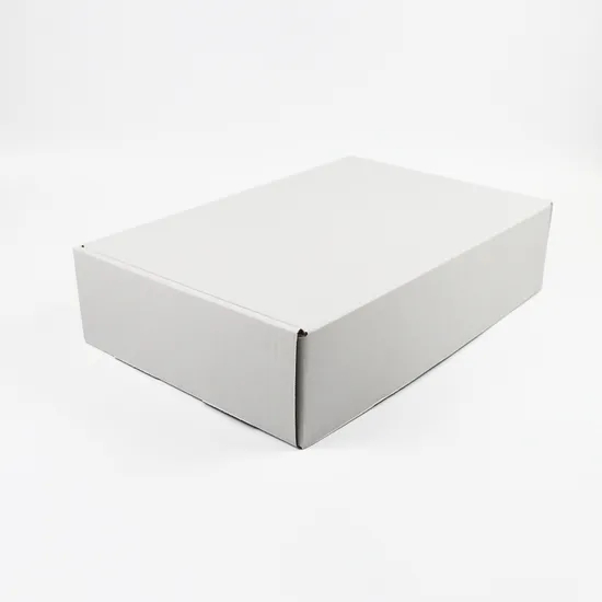 Factory Cheap Custom Print Wholesale Luxury Biodegradable Aircraft Packaging Corrugated Printed Shoe Cloth Scarf Shipping Gift Storage Cardboard Airplane Box